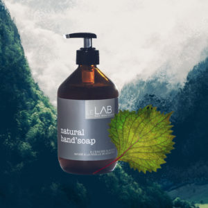 Savon liquide naturel infusé à la feuille de noisetier, à l'eau des glaciers, fait avec savoir-faire pharmaceutique, expérience et amour pour la nature.